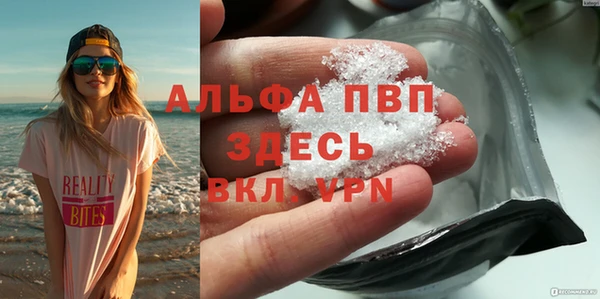 стафф Нефтекумск