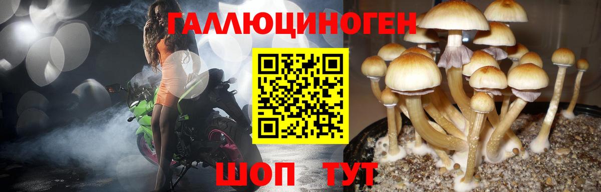 Галлюциногенные грибы GOLDEN TEACHER  Вход с VPN  Галлюциногенные грибы Cubensis  Ревда 