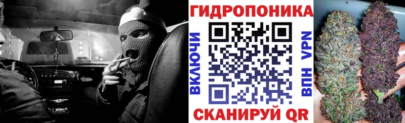 Канабис сатива  купить закладку  Ревда 